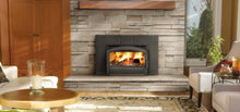 Load image into Gallery viewer, Napoleon Oakdale™ EPI3T Wood Fireplace Insert EPI3T-1 - The Outdoor Fireplace Store