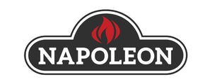 Napoleon Entice™ 42 Electric Fireplace NEFL42CFH - The Outdoor Fireplace Store