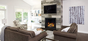 Napoleon Altitude™ X 42 Direct Vent Gas Fireplace AX42NTE - The Outdoor Fireplace Store