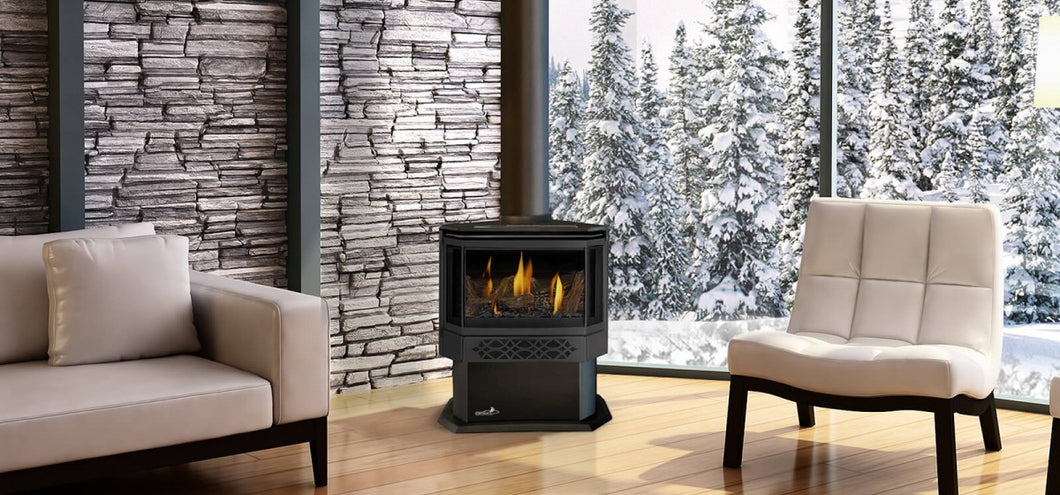 Napoleon Haliburton Direct Vent Gas Stove GDS28-1NSB – The Outdoor  Fireplace Store