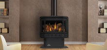 Load image into Gallery viewer, Napoleon Havelock™ Direct Vent Gas Stove GDS50-1NSB - The Outdoor Fireplace Store