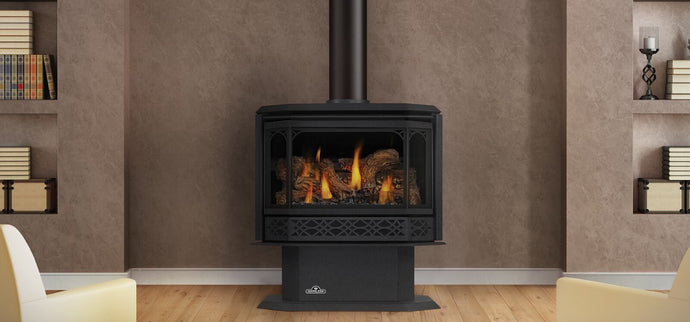 Napoleon Havelock™ Direct Vent Gas Stove GDS50-1NSB - The Outdoor Fireplace Store