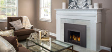 Load image into Gallery viewer, Napoleon Oakville™ G3 Gas Fireplace Insert GDIG3N - The Outdoor Fireplace Store