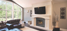 Load image into Gallery viewer, Napoleon Oakville™ X4 Gas Fireplace Insert GDIX4N - The Outdoor Fireplace Store