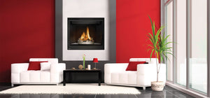 Napoleon High Definition 81 Direct Vent Gas Fireplace See Through - The Outdoor Fireplace Store