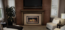 Load image into Gallery viewer, Napoleon Inspiration™ ZC Gas Fireplace Insert GDIZC-NSB - The Outdoor Fireplace Store