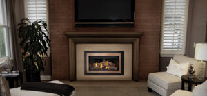 Napoleon Inspiration™ ZC Gas Fireplace Insert GDIZC-NSB - The Outdoor Fireplace Store