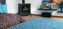Load image into Gallery viewer, Napoleon Knightsbridge™ Direct Vent Gas Stove GDS60-1NNSB - The Outdoor Fireplace Store