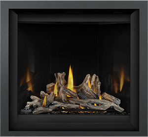 Napoleon Altitude™ X 36 Direct Vent Gas Fireplace AX36PTE - The Outdoor Fireplace Store
