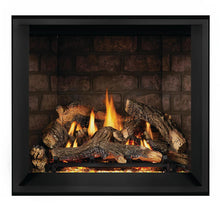 Load image into Gallery viewer, Napoleon Elevation™ X 36 Direct Vent Gas Fireplace EX36PTEL - The Outdoor Fireplace Store