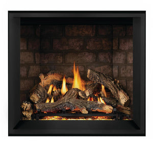 Napoleon Elevation™ X 36 Direct Vent Gas Fireplace EX36PTEL - The Outdoor Fireplace Store