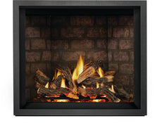 Load image into Gallery viewer, Napoleon Elevation™ X 42 Direct Vent Gas Fireplace EX42NTEL - The Outdoor Fireplace Store