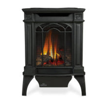 Load image into Gallery viewer, Napoleon Arlington™ Direct Vent Gas Stove GDS20NNSB - The Outdoor Fireplace Store
