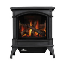 Load image into Gallery viewer, Napoleon Knightsbridge™ Direct Vent Gas Stove GDS60-1NNSB - The Outdoor Fireplace Store