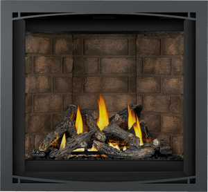 Napoleon Altitude™ X 36 Direct Vent Gas Fireplace AX36PTE - The Outdoor Fireplace Store