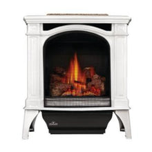 Load image into Gallery viewer, Napoleon Bayfield™ Direct Vent Gas Stove GDS25N-1 - The Outdoor Fireplace Store