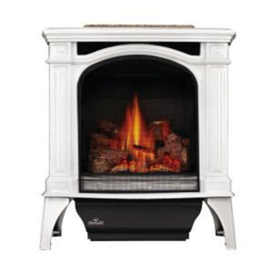 Napoleon Bayfield™ Direct Vent Gas Stove GDS25N-1 - The Outdoor Fireplace Store