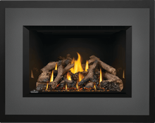 Load image into Gallery viewer, Napoleon Oakville™ X4 Gas Fireplace Insert GDIX4N - The Outdoor Fireplace Store